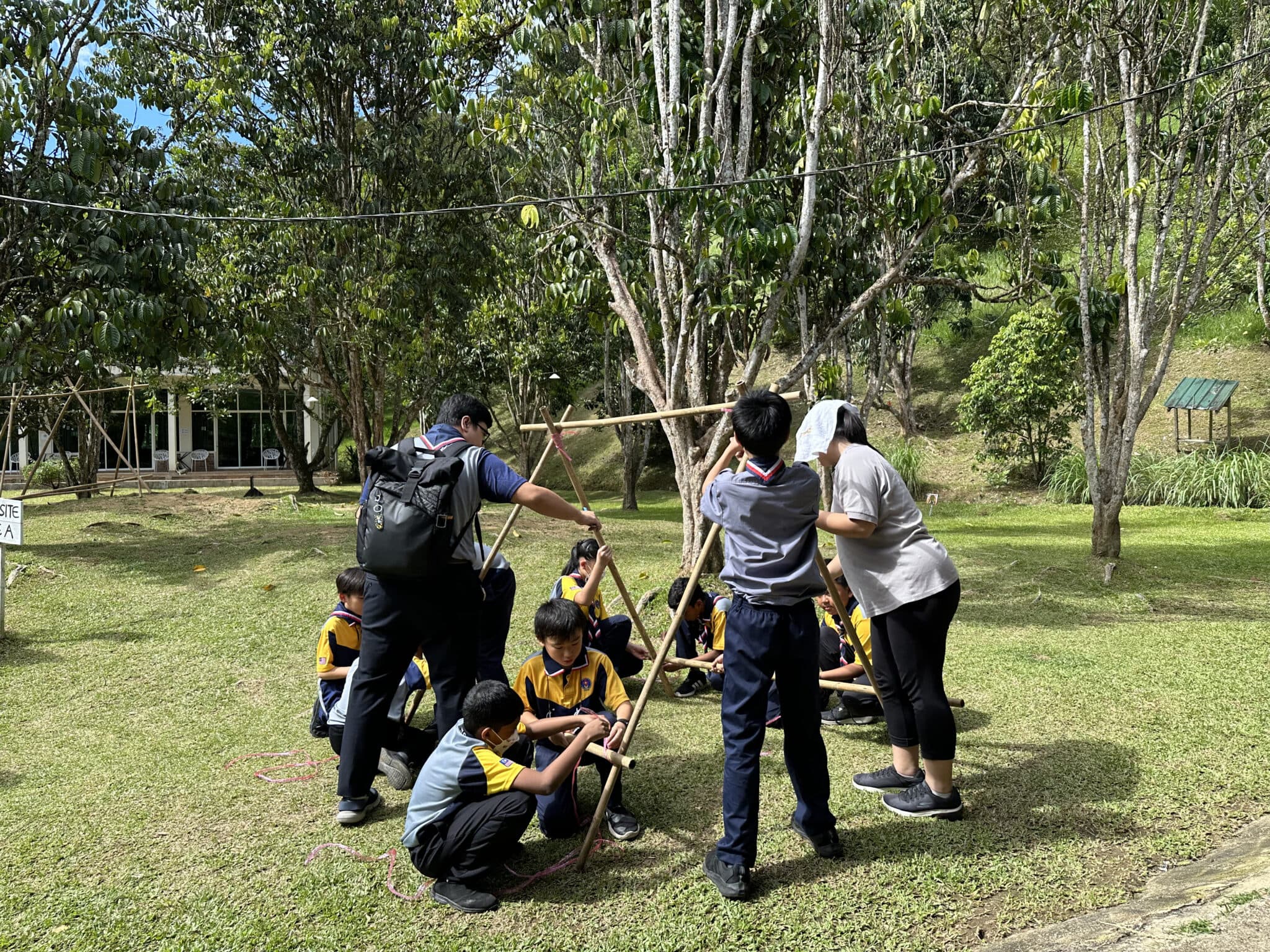 Business listing image