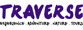Riverbug Asia logo
